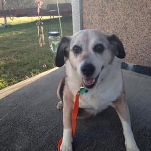 Meet your Posher, Brenda